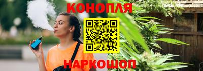 apvp Бийск