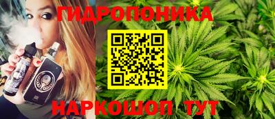 ALPHA PVP Аргун